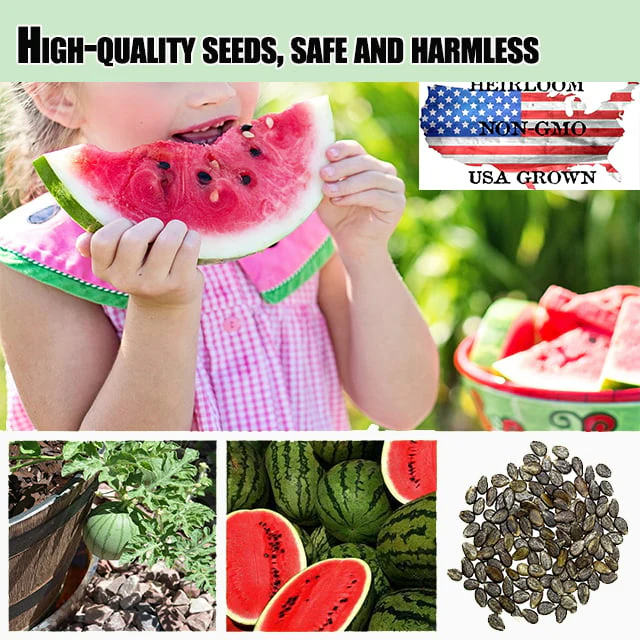 🍉Ruby Watermelon Pot Seeds🌱✨ - Image 2