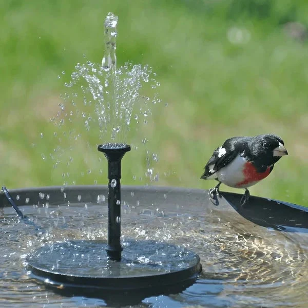 ⏳Time-Limited Special⏰Compact Solar Bird Fountain Pump – Keep Your Garden Alive! 🐦️ - Image 4