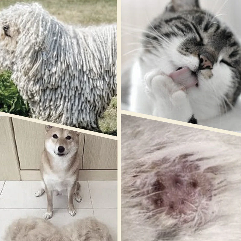 Double sided pet grooming brush - Image 2