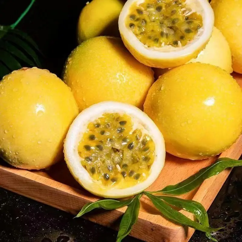 Exotic Passion Fruit Growing Kit - Image 7