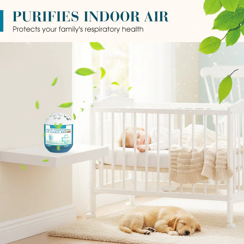 Indoor Air Purification Dust Removal Magic Box🏠🌿
