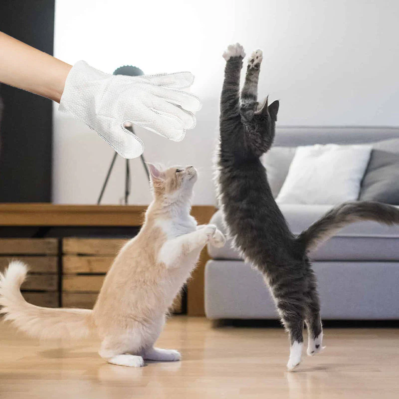 Pet Glove Wipes for Dogs & Cats - Image 9
