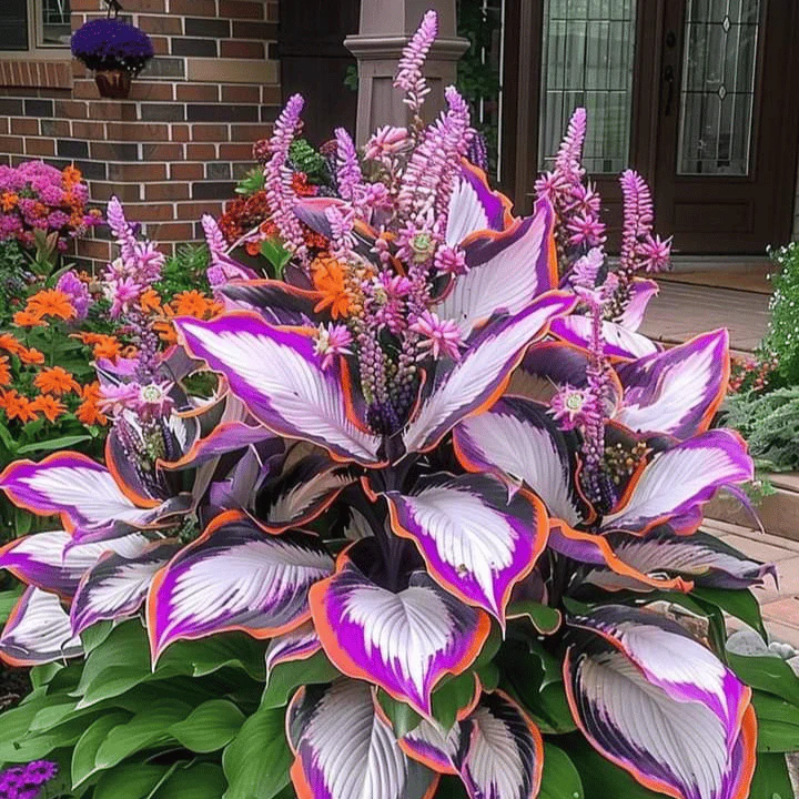 From Seed to Stunning – Hosta Magic 🌿Rare Hosta Seeds🌿 - Image 3