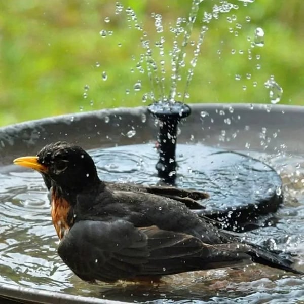 🎁☀️Solar Bird Bath Fountain Pump with 4 Nozzles - Image 3