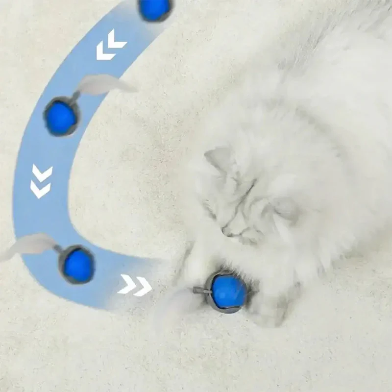 SPEEDY TAIL 2.0 - Image 9