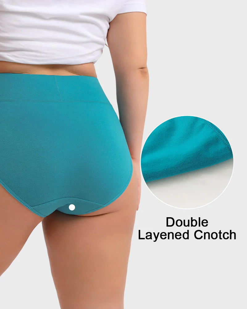 Women's Plus Size Cotton High Waisted Briefs 4-Pack - Image 3